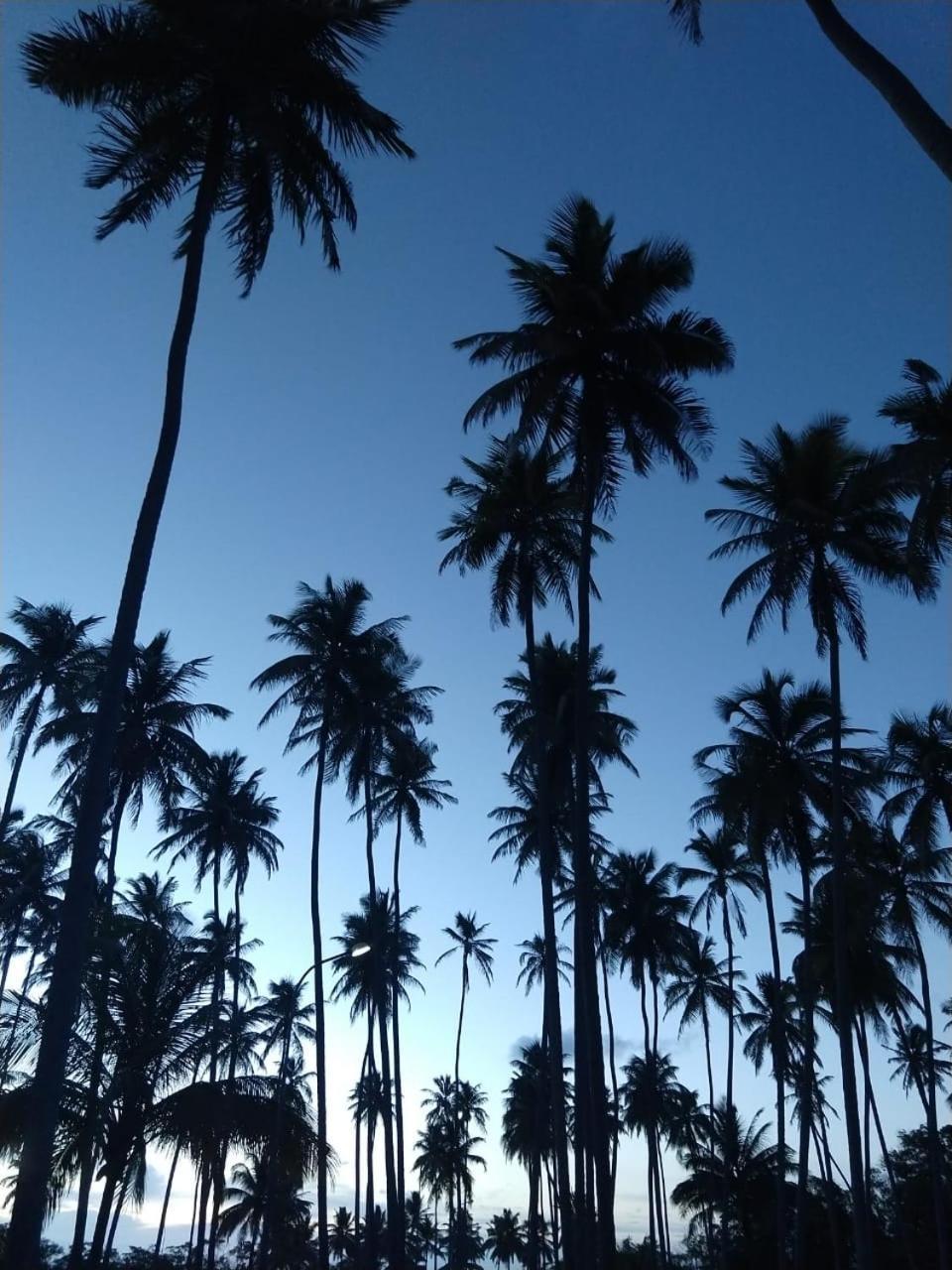 Maceió Hotel D'Anatureza מראה חיצוני תמונה